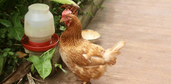 145A0315_Easy-Resize.com